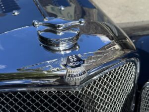 SS100det5